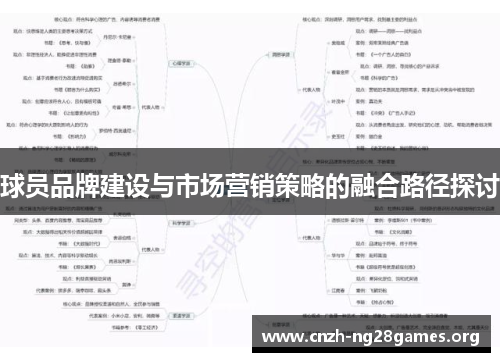 球员品牌建设与市场营销策略的融合路径探讨