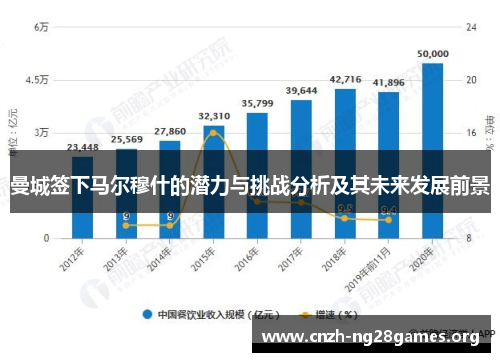 曼城签下马尔穆什的潜力与挑战分析及其未来发展前景