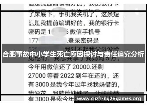 合肥事故中小学生死亡原因探讨与责任追究分析