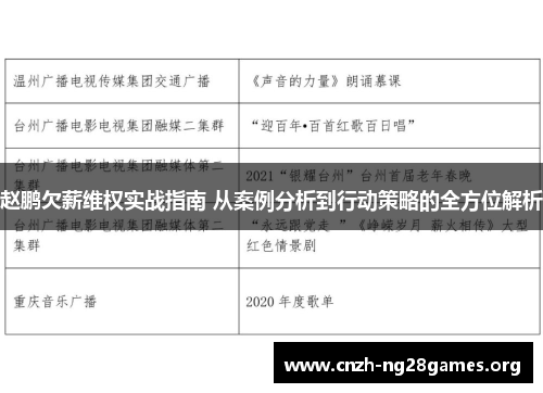 赵鹏欠薪维权实战指南 从案例分析到行动策略的全方位解析