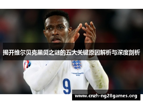 揭开维尔贝克黑贝之谜的五大关键原因解析与深度剖析