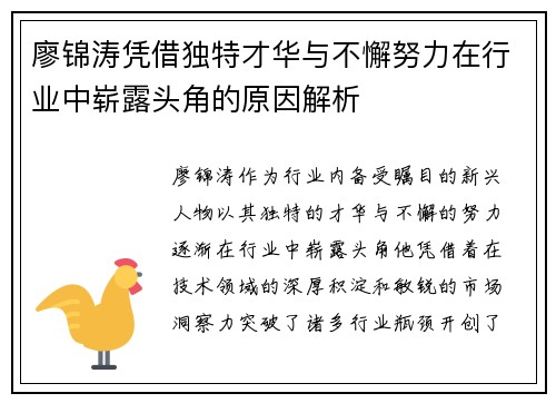 廖锦涛凭借独特才华与不懈努力在行业中崭露头角的原因解析